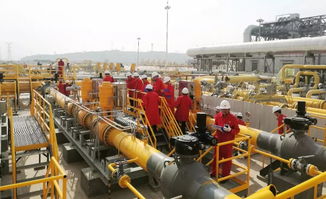 這家閥門公司兩套調(diào)壓裝置關(guān)鍵閥門成功通過中油管道公司現(xiàn)場工業(yè)性試驗驗收